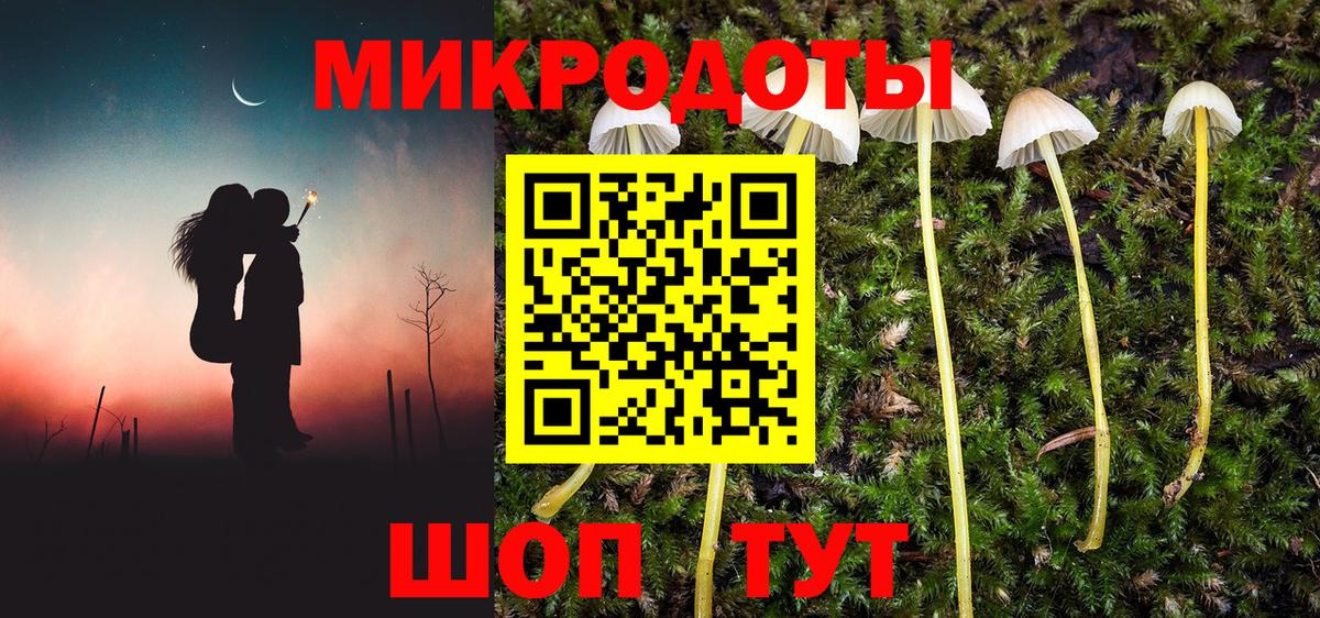 Псилоцибиновые грибы прущие грибы Ивантеевка