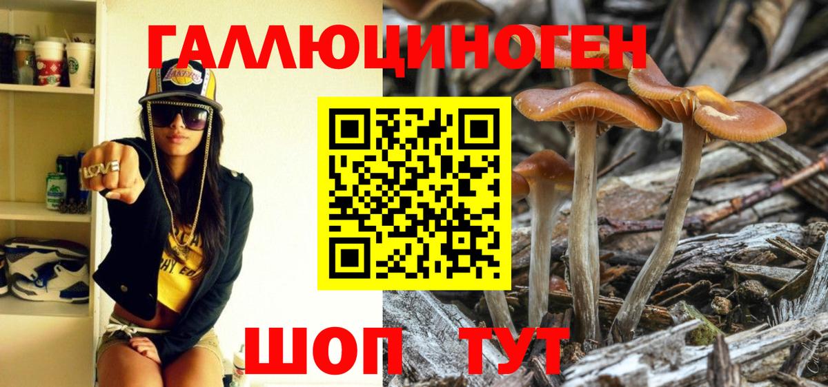 Галлюциногенные грибы ЛСД  Вход с VPN  Ивантеевка 